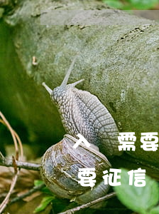 入職需要征信報告有逾期能入職嗎-入職需要征信報告有逾期能入職嗎有影響嗎