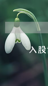 入股協(xié)議書