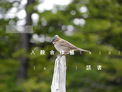 入股合作協(xié)議書(土地入股合作協(xié)議書)