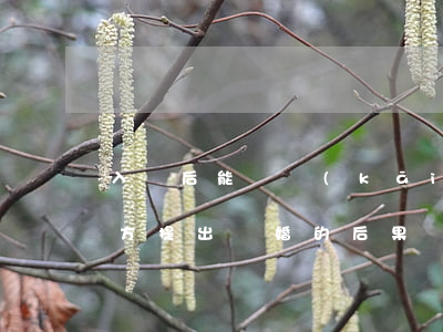 入贅后能離開(kāi)女方嗎(男方入贅女方提出離婚的后果)