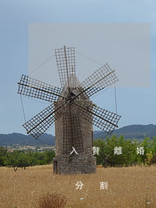 入贅離婚財(cái)產(chǎn)怎么分割
