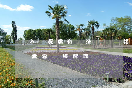 入黨配偶有違法記錄離婚可以嗎(離婚后入黨需要審核配偶嗎) 入黨配偶有違法記錄離婚可以嗎(離婚后入黨需要審核配偶嗎)