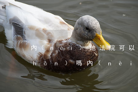 內(nèi)地法院可以查封香港財產(chǎn)嗎(內(nèi)地法院可以查封香港財產(chǎn)嗎)