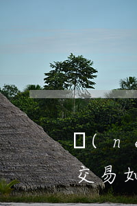 內(nèi)幕信息有哪些,內(nèi)幕交易如何判斷