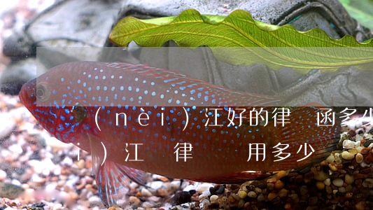 內(nèi)江好的律師函多少錢(內(nèi)江請律師費用多少錢)