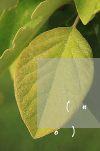 內(nèi)蒙信用卡逾期立案標(biāo)準(zhǔn)(內(nèi)蒙信用卡逾期立案標(biāo)準(zhǔn))