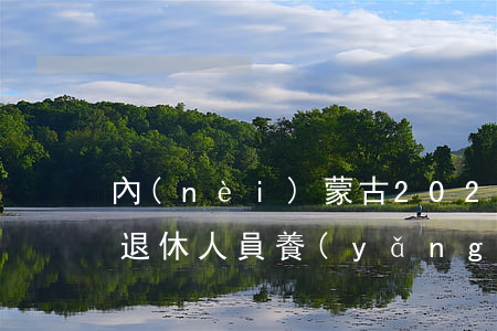 內(nèi)蒙古2020年企業(yè)退休人員養(yǎng)老金進行了什么調(diào)整