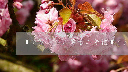 內(nèi)蒙古二手挖機(jī)中介