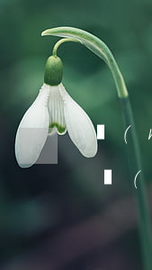 內(nèi)蒙古五原律師事務(wù)所(內(nèi)蒙古義盟律師事務(wù)所)