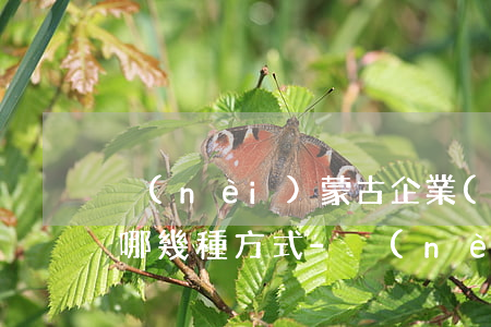 內(nèi)蒙古企業(yè)停息掛賬有哪幾種方式-內(nèi)蒙古企業(yè)停息掛賬有哪幾種方式呢
