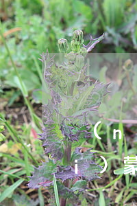 內(nèi)蒙古停息掛賬哪家好(內(nèi)蒙古17家停業(yè)網(wǎng)貸機(jī)構(gòu)名單)