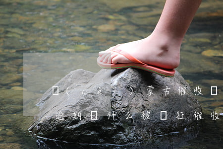 內(nèi)蒙古催收說信用卡逾期(信用卡逾期為什么被瘋狂催收)