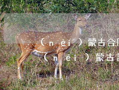 內(nèi)蒙古合同詐騙數(shù)額(內(nèi)蒙古詐騙案立案標(biāo)準(zhǔn))