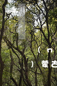 內(nèi)蒙古復(fù)工(內(nèi)蒙古復(fù)工補(bǔ)貼發(fā)放通知)