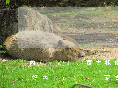 內(nèi)蒙古找債務(wù)律師哪個好(內(nèi)蒙古律師事務(wù)所排名前十位)