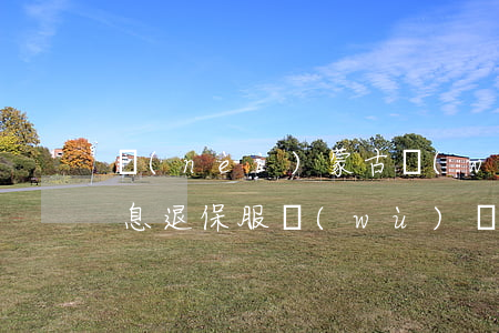 內(nèi)蒙古網(wǎng)貸逾期退息退保服務(wù)費(fèi)用-內(nèi)蒙古網(wǎng)貸逾期退息退保服務(wù)費(fèi)用多少