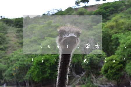 內(nèi)蒙古職務(wù)侵占數(shù)額較大標(biāo)準(zhǔn)是多少(職務(wù)侵占數(shù)額較大和巨大標(biāo)準(zhǔn))