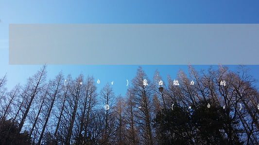 內(nèi)蒙古能力強的債務(wù)律師電話咨詢-內(nèi)蒙古律師免費咨詢電話