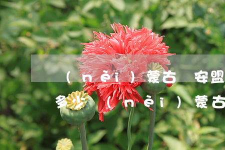 內(nèi)蒙古興安盟有編制的警察年薪多少(內(nèi)蒙古興安盟有編制的警察年薪多少)