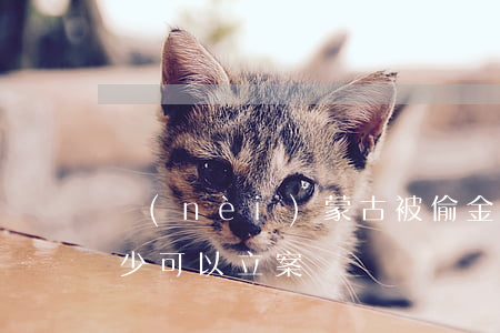 內(nèi)蒙古被偷金額達(dá)到多少可以立案