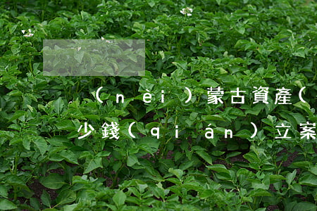 內(nèi)蒙古資產(chǎn)侵占多少錢(qián)立案(內(nèi)蒙古資產(chǎn)侵占多少錢(qián)立案)