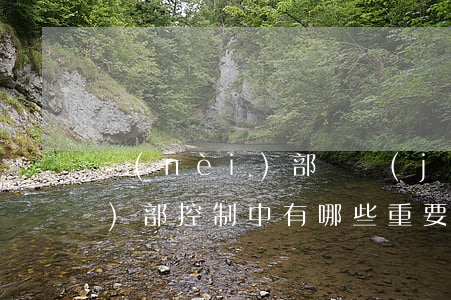 內(nèi)部審計(jì)在內(nèi)部控制中有哪些重要作用