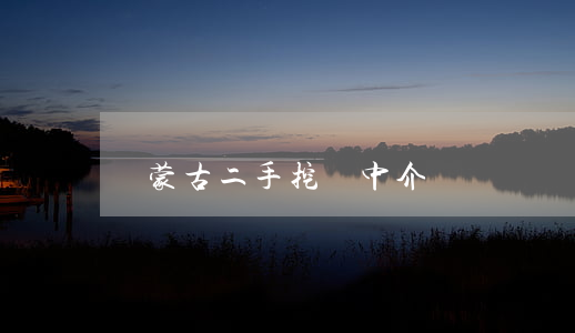 內蒙古二手挖機中介