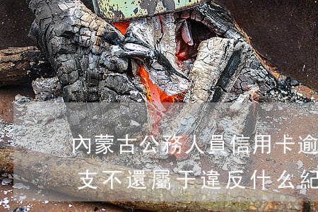 內蒙古公務人員信用卡逾期(公務員信用卡透支不還屬于違反什么紀律)