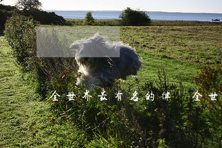 全世界最有名的律師(全世界最有名的律師是誰)