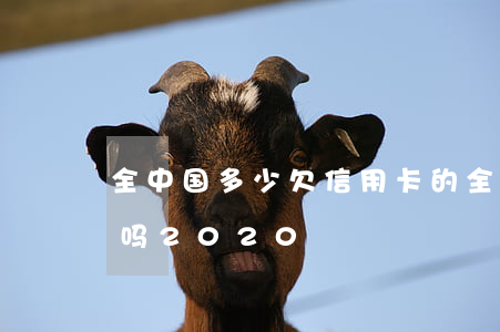 全中国多少欠信用卡的(全国欠信用卡的人多吗2020)