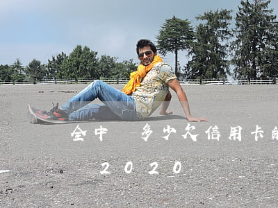 全中國多少欠信用卡的(全國欠信用卡的人多嗎2020)