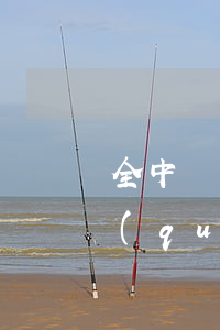 全中國最大的律師事務(wù)所(中國最權(quán)威的律師事務(wù)所)