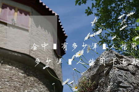 全中國有多少年輕人信用卡逾期-全中國有多少年輕人信用卡逾期的