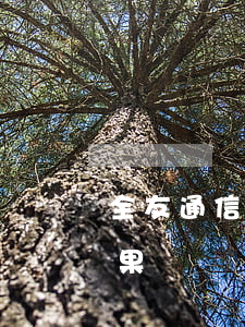 全友通信用卡逾期后果（全友通信用卡逾期后果）