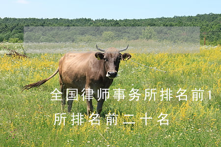 全国律师事务所排名前100(全国律师事务所排名前二十名)