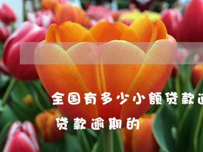 全国有多少小额贷款逾期的(目前全国有多少贷款逾期的)