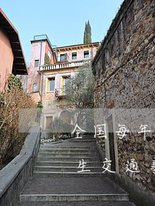 全国每年发生多少交通事故(全国平均每天发生交通事故多少)