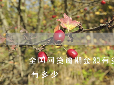 全国网贷逾期金额有多少(全国网贷逾期金额有多少)