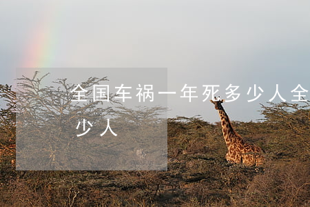 全国车祸一年死多少人(全国死于车祸一年多少人)