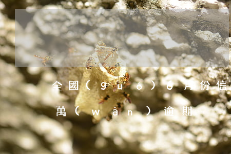 全國(guó)6月份信用卡逾期 信用卡6萬(wàn)逾期