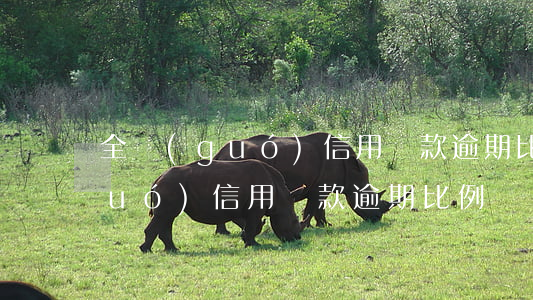 全國(guó)信用貸款逾期比例(全國(guó)信用貸款逾期比例)