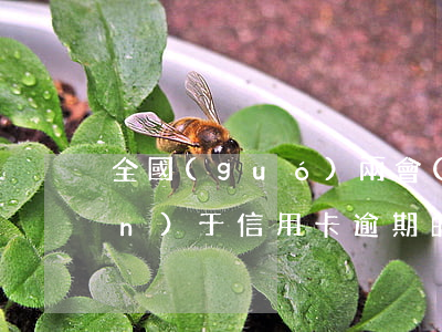 全國(guó)兩會(huì)關(guān)于信用卡逾期的提案-