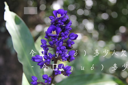 全國(guó)多少人欠銀行債務(wù)-全國(guó)多少人欠銀行債務(wù)最多