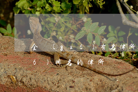 全國(guó)有名律所有哪些(全國(guó)排名的律所)