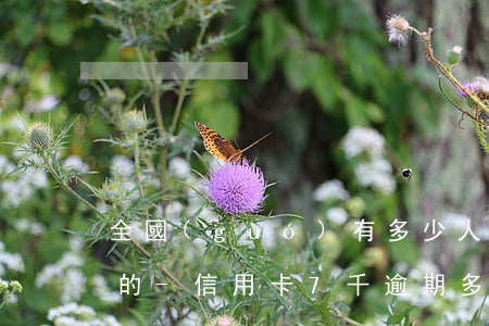 全國(guó)有多少人信用卡逾期被起訴的-信用卡7千逾期多久會(huì)被起訴