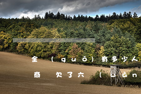 全國(guó)有多少人欠網(wǎng)商貸欠了六萬(wàn)-全國(guó)有多少人欠網(wǎng)商貸欠了六萬(wàn)元