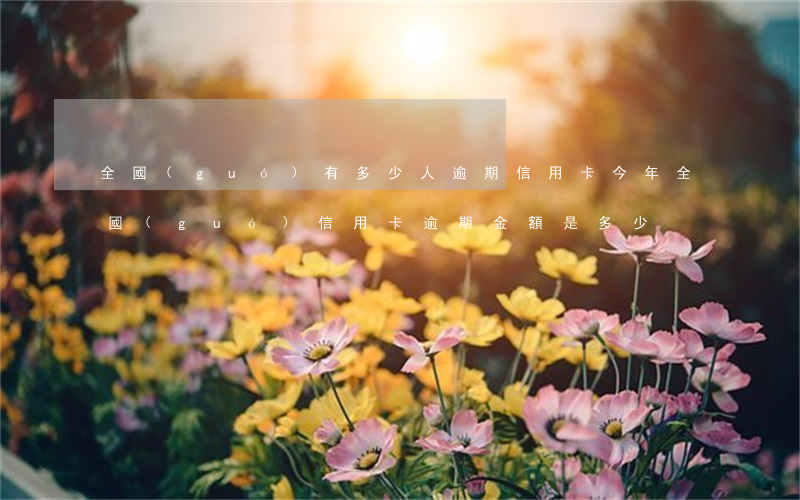 全國(guó)有多少人逾期信用卡(今年全國(guó)信用卡逾期金額是多少)