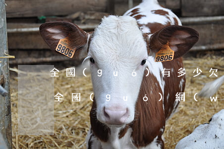 全國(guó)有多少欠網(wǎng)貸(全國(guó)網(wǎng)貸欠款有多少人)