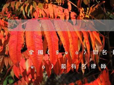 全國(guó)知名十大律師王釗(全國(guó)最有名律師)