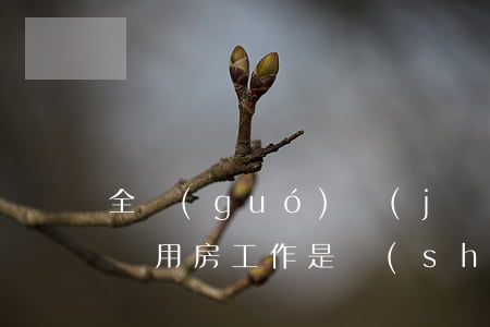 全國(guó)經(jīng)濟(jì)適用房工作是誰(shuí)負(fù)責(zé)